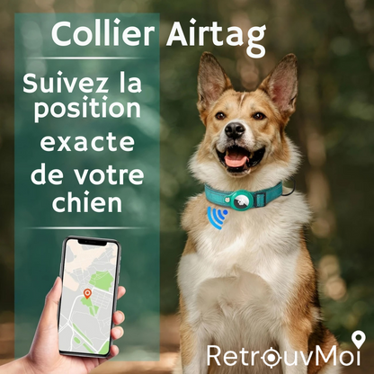 Collier à AirTag pour chien – Gardez toujours un œil sur votre compagnon 🐾